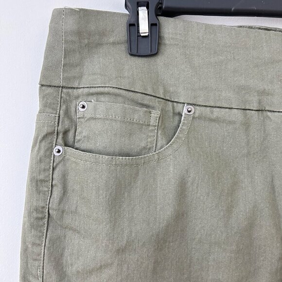 Chadwick's of Boston Sage Green Shorts 16W - Picture 4 of 4